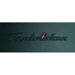 Электрический котел Teplodom i-TRM SILVER StS 12 кВт в Бобруйске