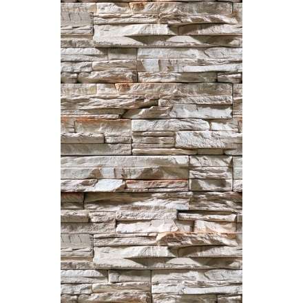 Фиброцементная плита Фаспан Дикий камень №1007 Вертикаль (1200х800х8 мм) купить в Бобруйске