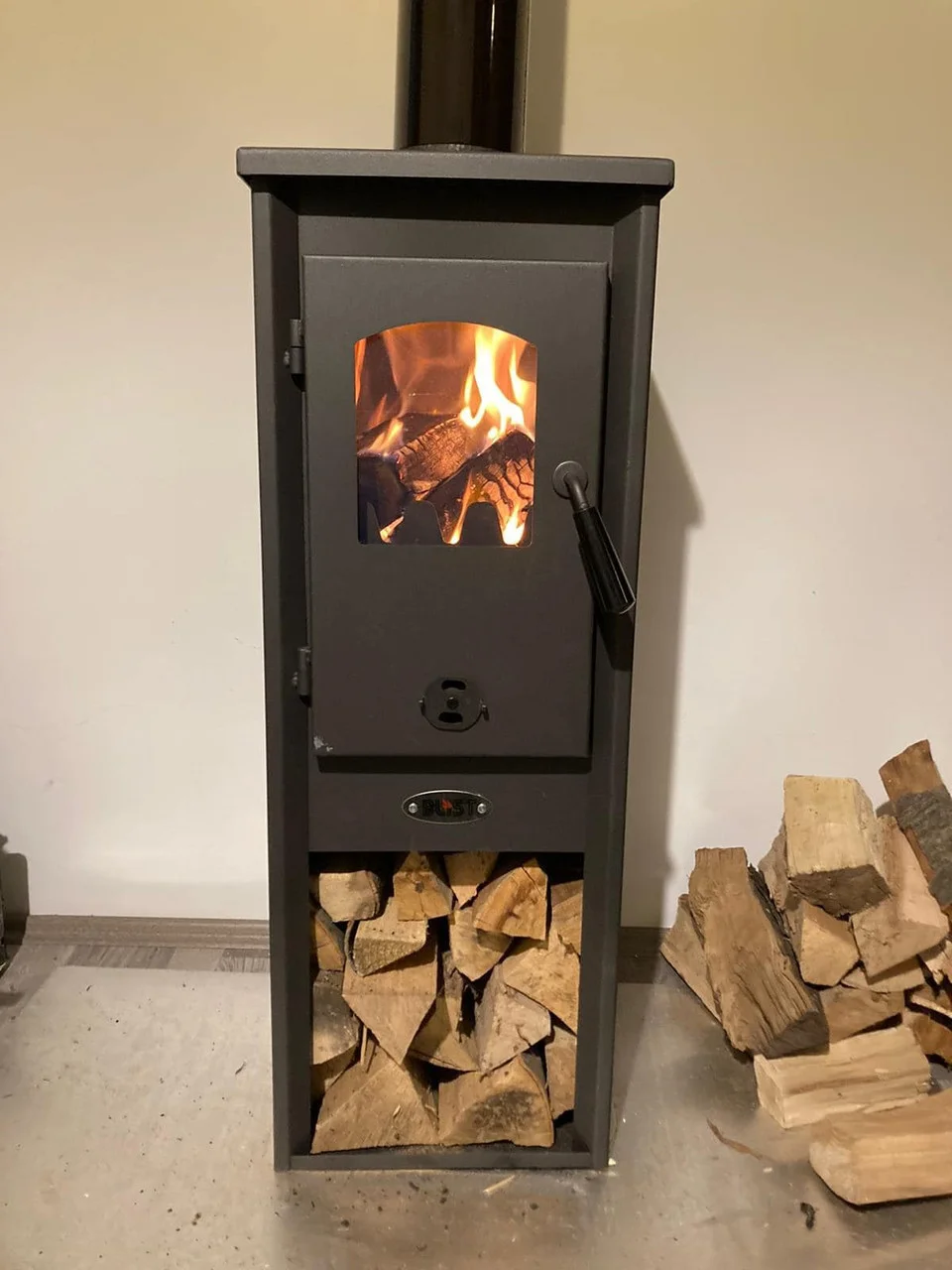 Печь-камин Blist Ekonomik Lux LM N стальная дверца Амазонка бай фото в Бобруйске