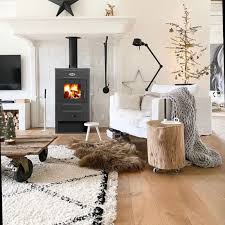 Печь-камин Blist B 2 Амазонка бай фото в Бобруйске