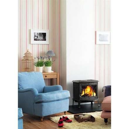 Чугунная печь камин Jotul F100 BP в Бобруйске