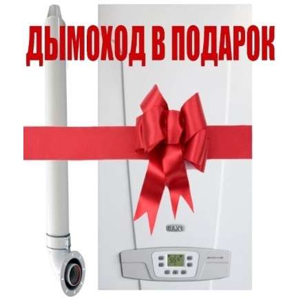 Газовый котел Baxi ECO 4S 1.24F в Бобруйске