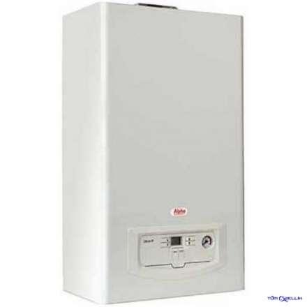 Газовый котёл Immergas BellaGas CB-24-TF в Бобруйске