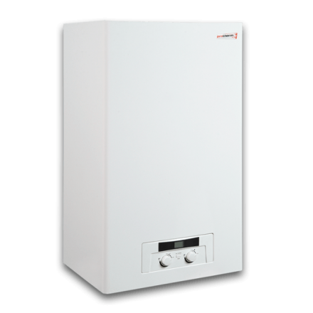 Газовый котел Protherm Рысь 28 Lynx HK 28 в Бобруйске