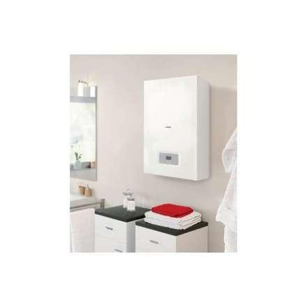 Газовый котел Protherm Гепард 23 MTV (turbo) в Бобруйске