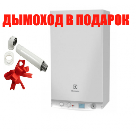Газовый котел Electrolux GCB 30 Basic Space Duo Fi в Бобруйске