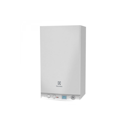 Газовый котел Electrolux GCB 30 Basic Space Duo Fi в Бобруйске