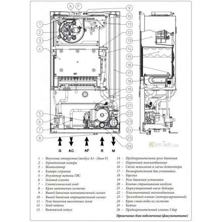 Газовый котел Immergas EOLO Mini 24 3E в Бобруйске