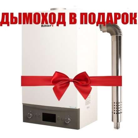Газовый котел Rihters Econom 26 с дымоходом в Бобруйске
