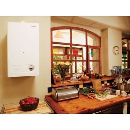 Газовый котел Protherm Тигр 24 KTZ в Бобруйске