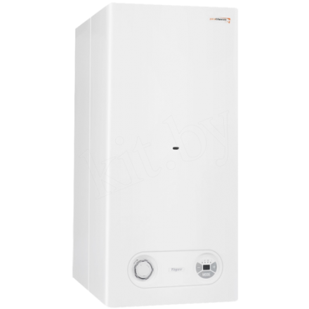 Газовый котел Protherm Тигр 24 KTZ в Бобруйске