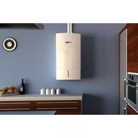 Газовый котел Bosch GAZ 7000 W ZSC 28-3 MFA в Бобруйске