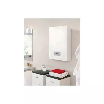 Газовый котел Protherm Пантера 25 KOV (atmo) в Бобруйске