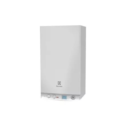 Газовый котел Electrolux GCB 24 Basic Space Duo Fi в Бобруйске